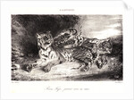 Young Tiger Playing with its Mother (Jeune Tigre jouant avec sa Mêre), 1831 by Eugène Delacroix
