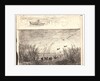 Le Marais aux Canards, 1862 by Charles François Daubigny