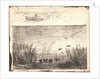 Le Marais aux Canards, 1862 by Charles François Daubigny