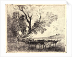 Le Gué, 1862 by Charles François Daubigny
