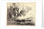 Le Gué, 1862 by Charles François Daubigny