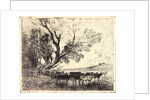 Le Gué, 1862 by Charles François Daubigny