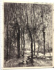 La Gardeuse de Chèvres, 1862 by Charles François Daubigny