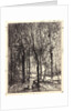 La Gardeuse de Chèvres, 1862 by Charles François Daubigny