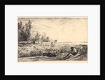 La Fenaison, 1862 by Charles François Daubigny