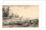 La Fenaison, 1862 by Charles François Daubigny