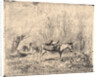 L'Ane au Pré, 1862 by Charles François Daubigny