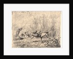 L'Ane au Pré, 1862 by Charles François Daubigny