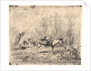 L'Ane au Pré, 1862 by Charles François Daubigny