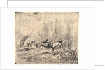 L'Ane au Pré, 1862 by Charles François Daubigny