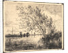 Le Bouquet d'Aunes, 1862 by Charles François Daubigny