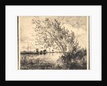 Le Bouquet d'Aunes, 1862 by Charles François Daubigny