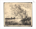 Le Bouquet d'Aunes, 1862 by Charles François Daubigny