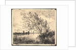Le Bouquet d'Aunes, 1862 by Charles François Daubigny
