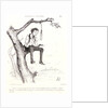 Quand on est possesseur de cent actions.., 1840 by Honoré Daumier