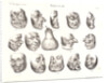 Masques de 1831, 1832 by Honoré Daumier