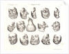Masques de 1831, 1832 by Honoré Daumier
