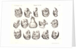 Masques de 1831, 1832 by Honoré Daumier