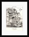 Le Suplice de Tantale, 1842 by Honoré Daumier
