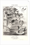 Le Suplice de Tantale, 1842 by Honoré Daumier
