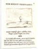 Les Rayons du Soleil, 17th century by Jacques Callot