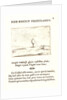 Les Rayons du Soleil, 17th century by Jacques Callot
