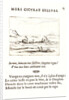 Les Dauphins et le Crocodile, 17th century by Jacques Callot