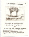 Les Deux Palmiers, 17th century by Jacques Callot