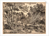 St. Jerome in the Wilderness, ca. 1525-1530 by Nicolò Boldrini