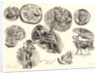 Nine Antique Medals (Neuf Médailles Antiques), 1825 by Eugène Delacroix