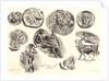 Nine Antique Medals (Neuf Médailles Antiques), 1825 by Eugène Delacroix
