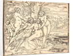 Venus Mourning the Death of Adonis, 16th century by Luca Cambiaso