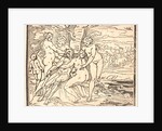 Venus Mourning the Death of Adonis, 16th century by Luca Cambiaso