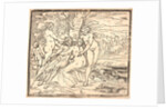 Venus Mourning the Death of Adonis, 16th century by Luca Cambiaso