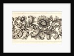 Plate 9 from the set of Twelve Ornament Friezes, ca. 1670 by Domenico Bonavera