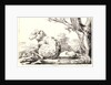 Merinos, 1818 by Jean-Paul Alaux