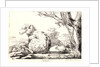 Merinos, 1818 by Jean-Paul Alaux