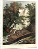 Falls on the Flint River, ca. 1827-1828 by Louis-Pierre-Alphonse Bichebois