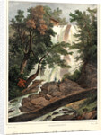Falls on the Flint River, ca. 1827-1828 by Louis-Pierre-Alphonse Bichebois