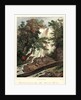 Falls on the Flint River, ca. 1827-1828 by Louis-Pierre-Alphonse Bichebois