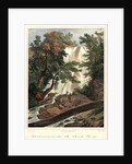 Falls on the Flint River, ca. 1827-1828 by Louis-Pierre-Alphonse Bichebois