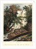 Falls on the Flint River, ca. 1827-1828 by Louis-Pierre-Alphonse Bichebois