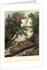 Falls on the Flint River, ca. 1827-1828 by Louis-Pierre-Alphonse Bichebois