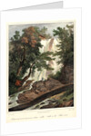 Falls on the Flint River, ca. 1827-1828 by Louis-Pierre-Alphonse Bichebois