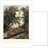 Falls on the Flint River, ca. 1827-1828 by Louis-Pierre-Alphonse Bichebois