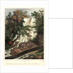 Falls on the Flint River, ca. 1827-1828 by Louis-Pierre-Alphonse Bichebois