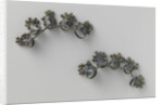 Toe jewelery by Anonymous