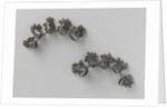 Toe jewelery by Anonymous