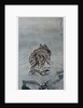 Tiger by Gao Qipei