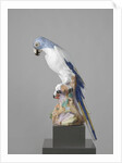 Blue Macaw by Johann Joachim Kändler